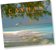 Click to see enlarged photo...