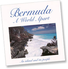 Click to see enlarged photo...