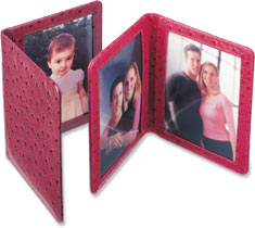 Click to see enlarged photo...