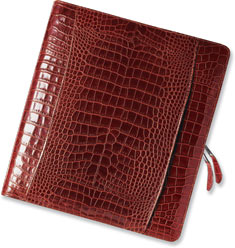 Click to see enlarged photo...